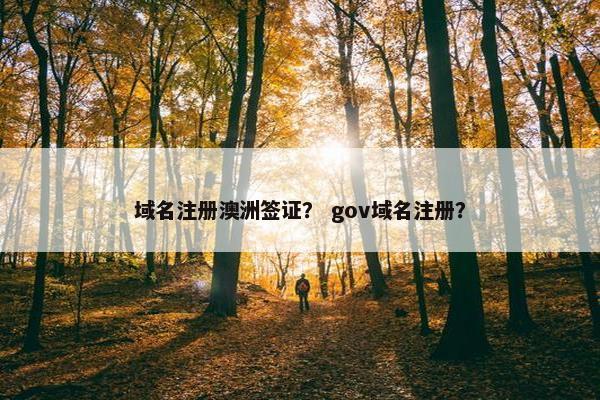 域名注册澳洲签证？ gov域名注册？