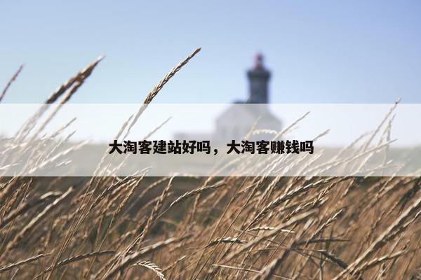 大淘客建站好吗，大淘客赚钱吗