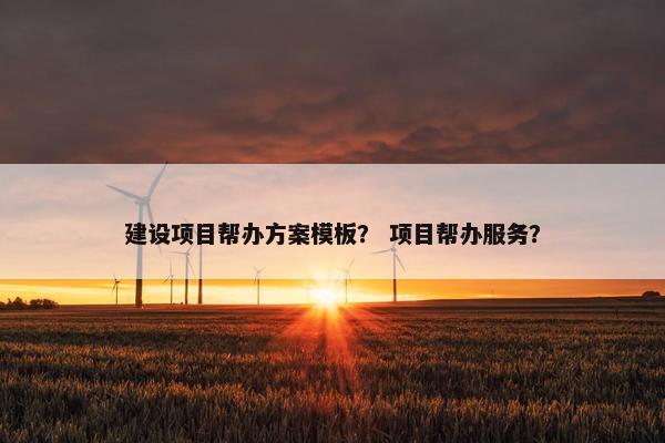 建设项目帮办方案模板？ 项目帮办服务？