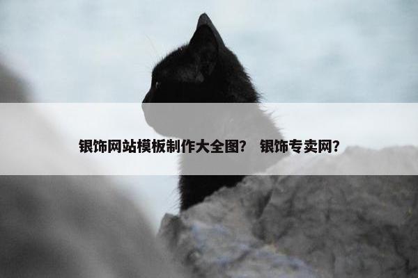 银饰网站模板制作大全图？ 银饰专卖网？