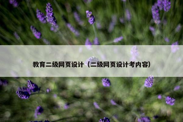 教育二级网页设计（二级网页设计考内容）