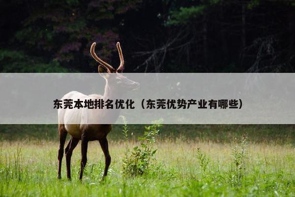 东莞本地排名优化（东莞优势产业有哪些）