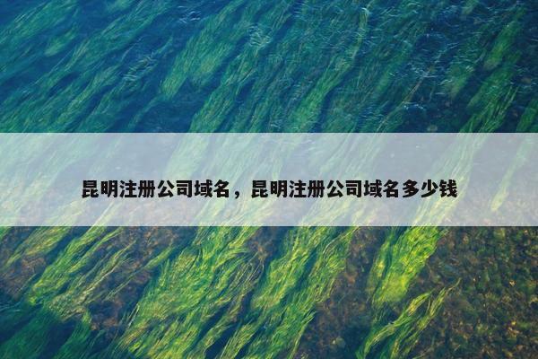 昆明注册公司域名，昆明注册公司域名多少钱