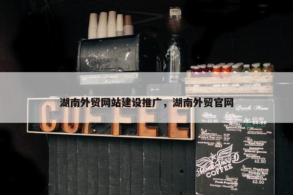 湖南外贸网站建设推广，湖南外贸官网
