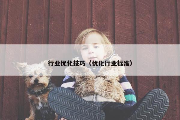 行业优化技巧（优化行业标准）