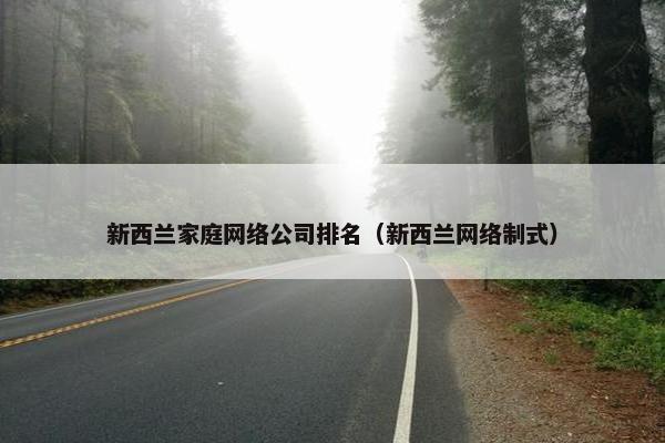 新西兰家庭网络公司排名（新西兰网络制式）
