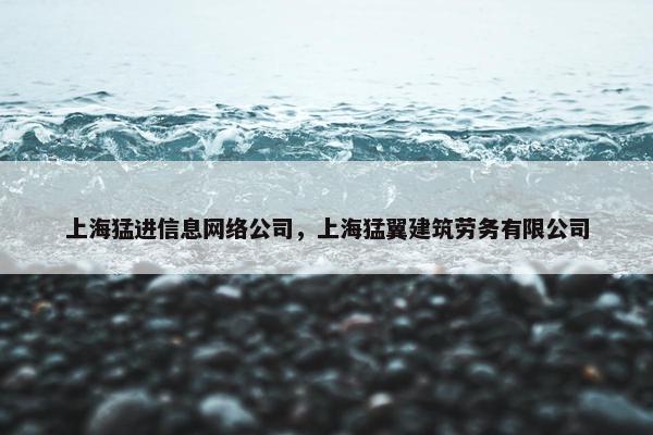 上海猛进信息网络公司，上海猛翼建筑劳务有限公司