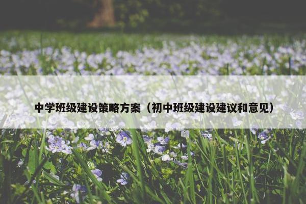 中学班级建设策略方案（初中班级建设建议和意见）