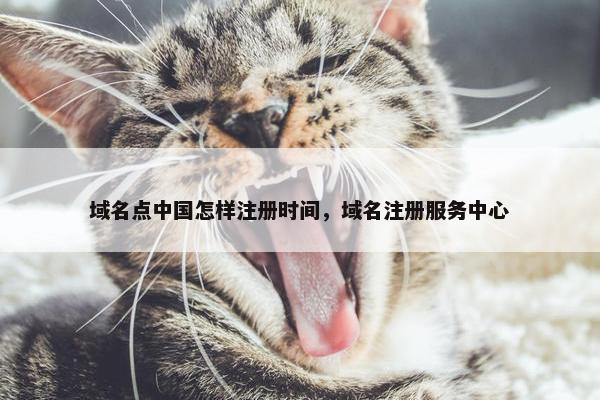 域名点中国怎样注册时间，域名注册服务中心