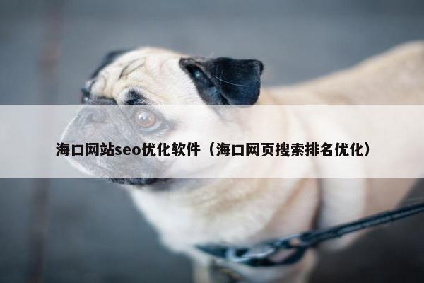 海口网站seo优化软件（海口网页搜索排名优化）