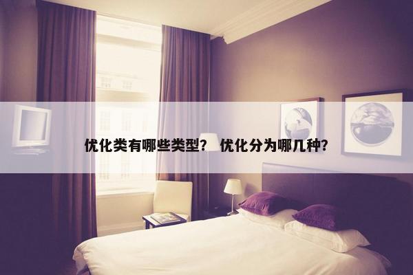 优化类有哪些类型？ 优化分为哪几种？