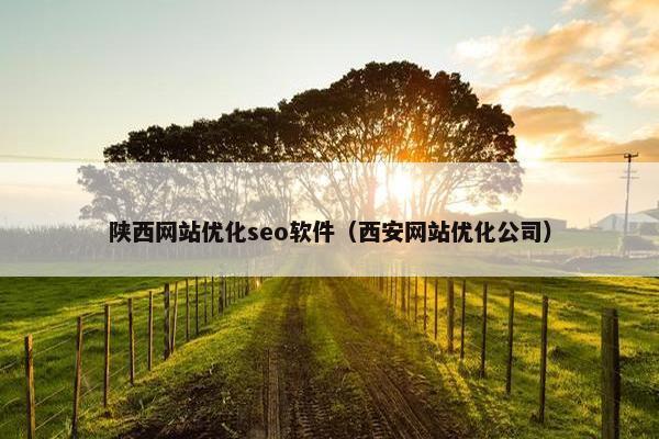 陕西网站优化seo软件（西安网站优化公司）