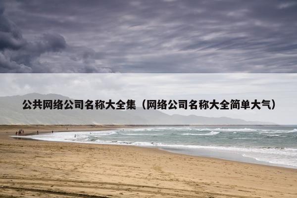 公共网络公司名称大全集（网络公司名称大全简单大气）