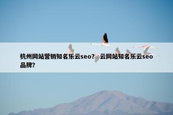 杭州网站营销知名乐云seo？ 云网站知名乐云seo品牌？