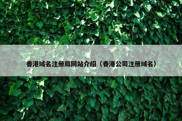 香港域名注册局网站介绍（香港公司注册域名）