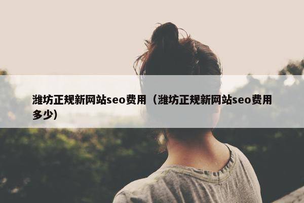 潍坊正规新网站seo费用（潍坊正规新网站seo费用多少）