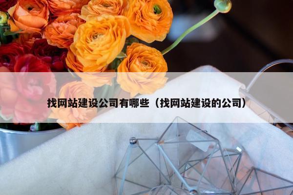 找网站建设公司有哪些（找网站建设的公司）