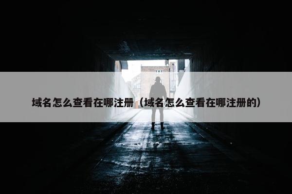 域名怎么查看在哪注册（域名怎么查看在哪注册的）