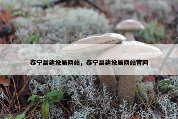 泰宁县建设局网站，泰宁县建设局网站官网