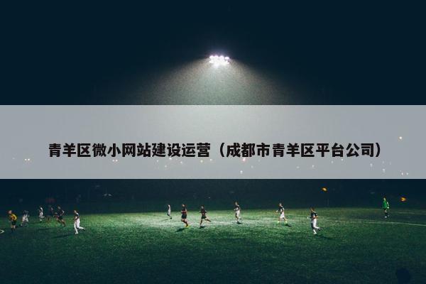 青羊区微小网站建设运营（成都市青羊区平台公司）