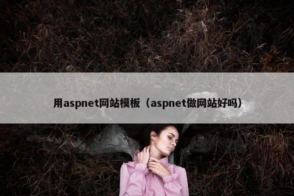 用aspnet网站模板（aspnet做网站好吗）