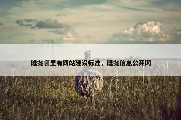 隆尧哪里有网站建设标准，隆尧信息公开网