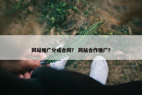 网站推广分成合同？ 网站合作推广？