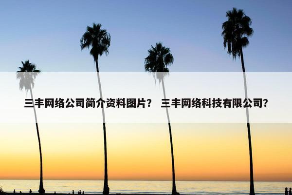 三丰网络公司简介资料图片？ 三丰网络科技有限公司？