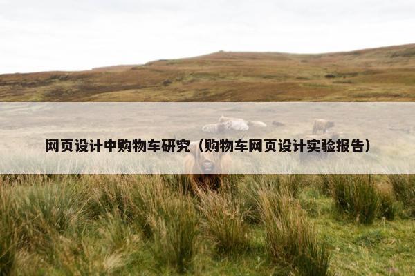 网页设计中购物车研究（购物车网页设计实验报告）