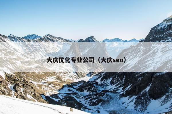 大庆优化专业公司（大庆seo）
