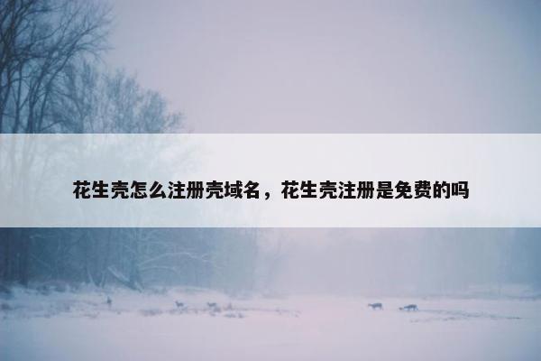 花生壳怎么注册壳域名，花生壳注册是免费的吗