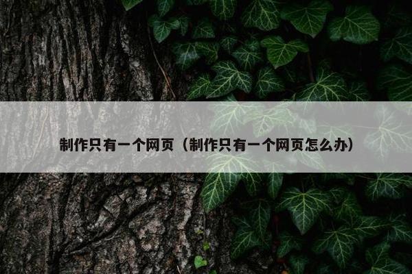 制作只有一个网页（制作只有一个网页怎么办）