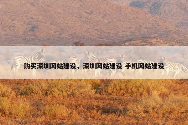 购买深圳网站建设，深圳网站建设 手机网站建设