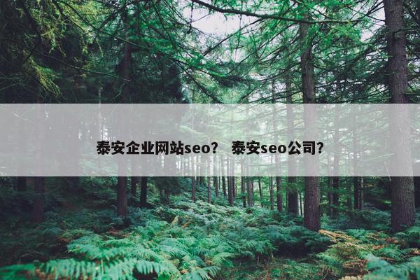 泰安企业网站seo？ 泰安seo公司？