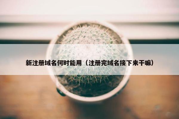新注册域名何时能用（注册完域名接下来干嘛）