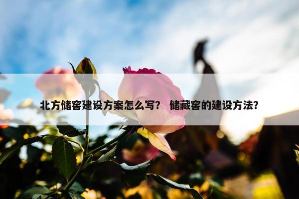 北方储窖建设方案怎么写？ 储藏窖的建设方法？