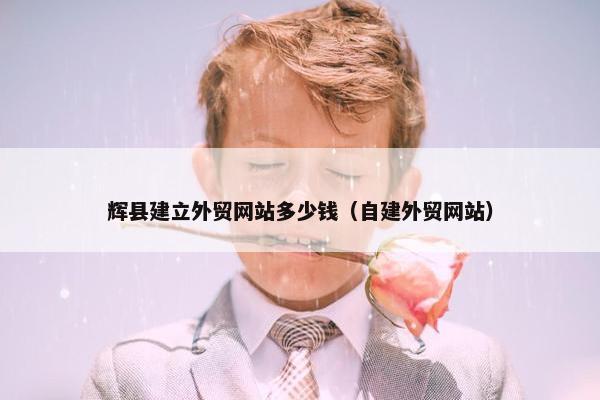 辉县建立外贸网站多少钱（自建外贸网站）