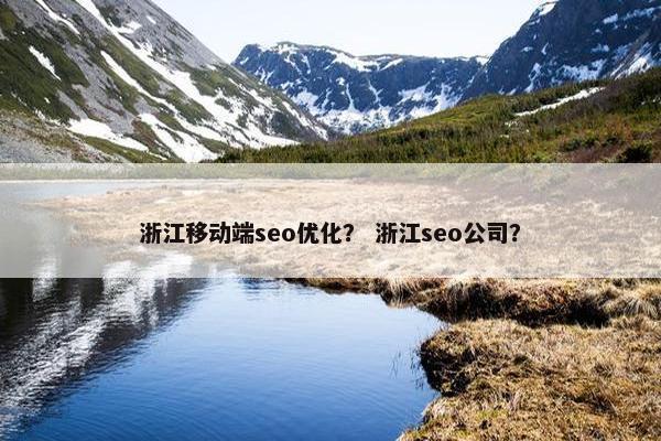 浙江移动端seo优化？ 浙江seo公司？