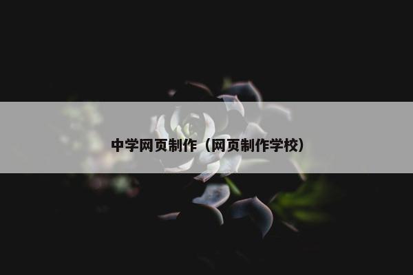 中学网页制作（网页制作学校）