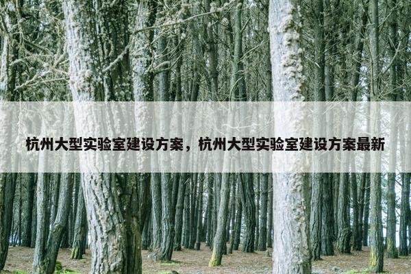 杭州大型实验室建设方案，杭州大型实验室建设方案最新