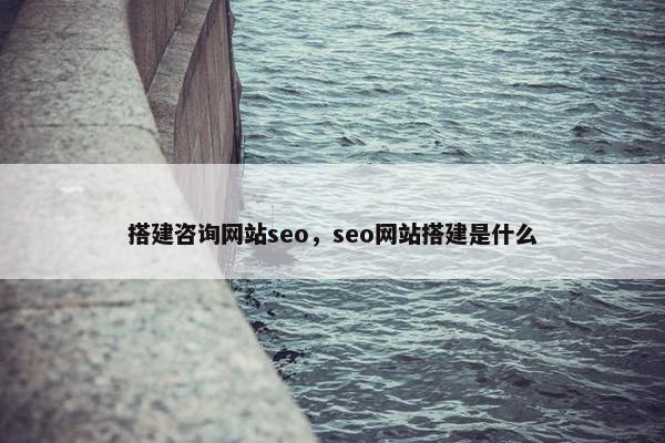 搭建咨询网站seo，seo网站搭建是什么