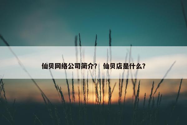 仙贝网络公司简介？ 仙贝店是什么？