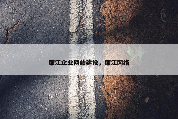 廉江企业网站建设，廉江网络