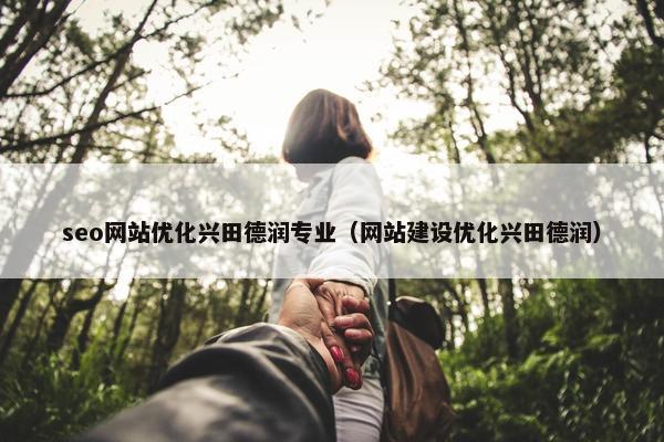 seo网站优化兴田德润专业（网站建设优化兴田德润）