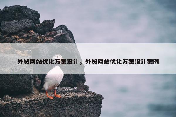 外贸网站优化方案设计，外贸网站优化方案设计案例