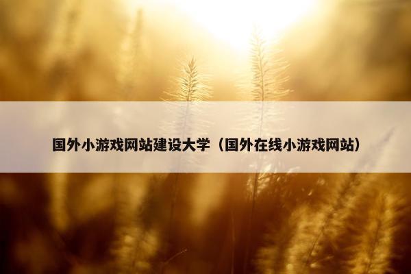 国外小游戏网站建设大学（国外在线小游戏网站）