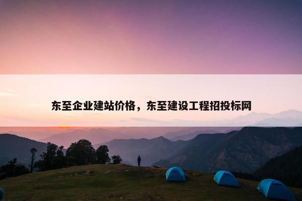 东至企业建站价格，东至建设工程招投标网