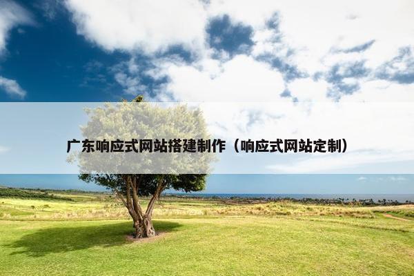 广东响应式网站搭建制作（响应式网站定制）