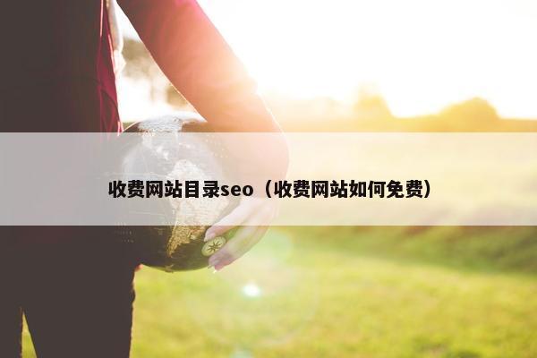 收费网站目录seo（收费网站如何免费）
