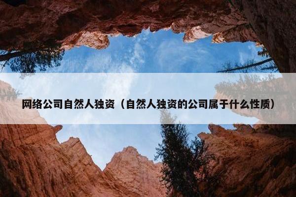 网络公司自然人独资（自然人独资的公司属于什么性质）